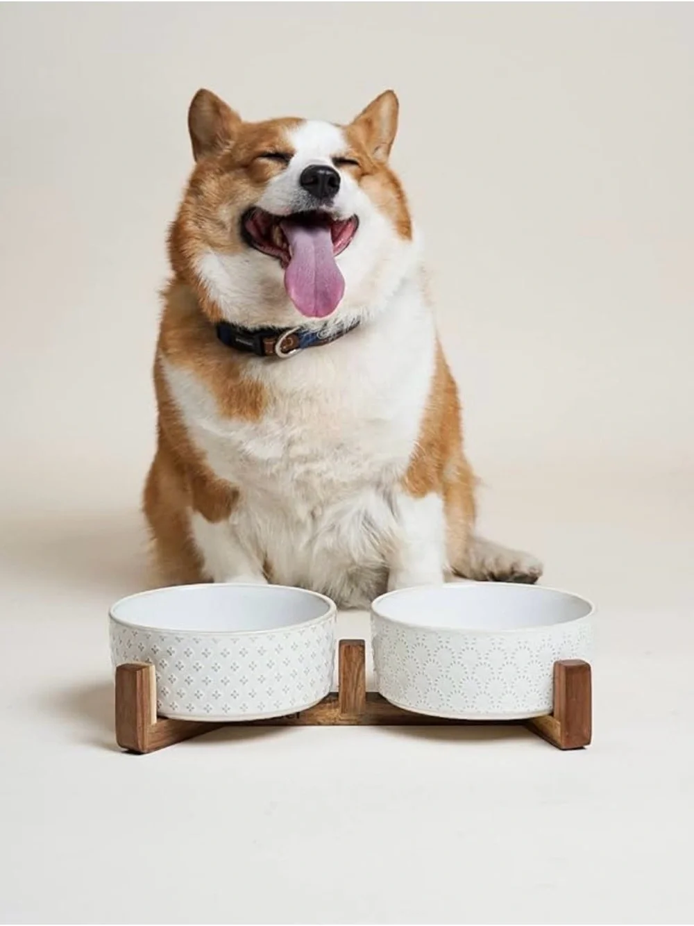 🐶🥣  LE TAUCI Ceramic Elevated Dog Bowl Set with Acacia Wood Stand